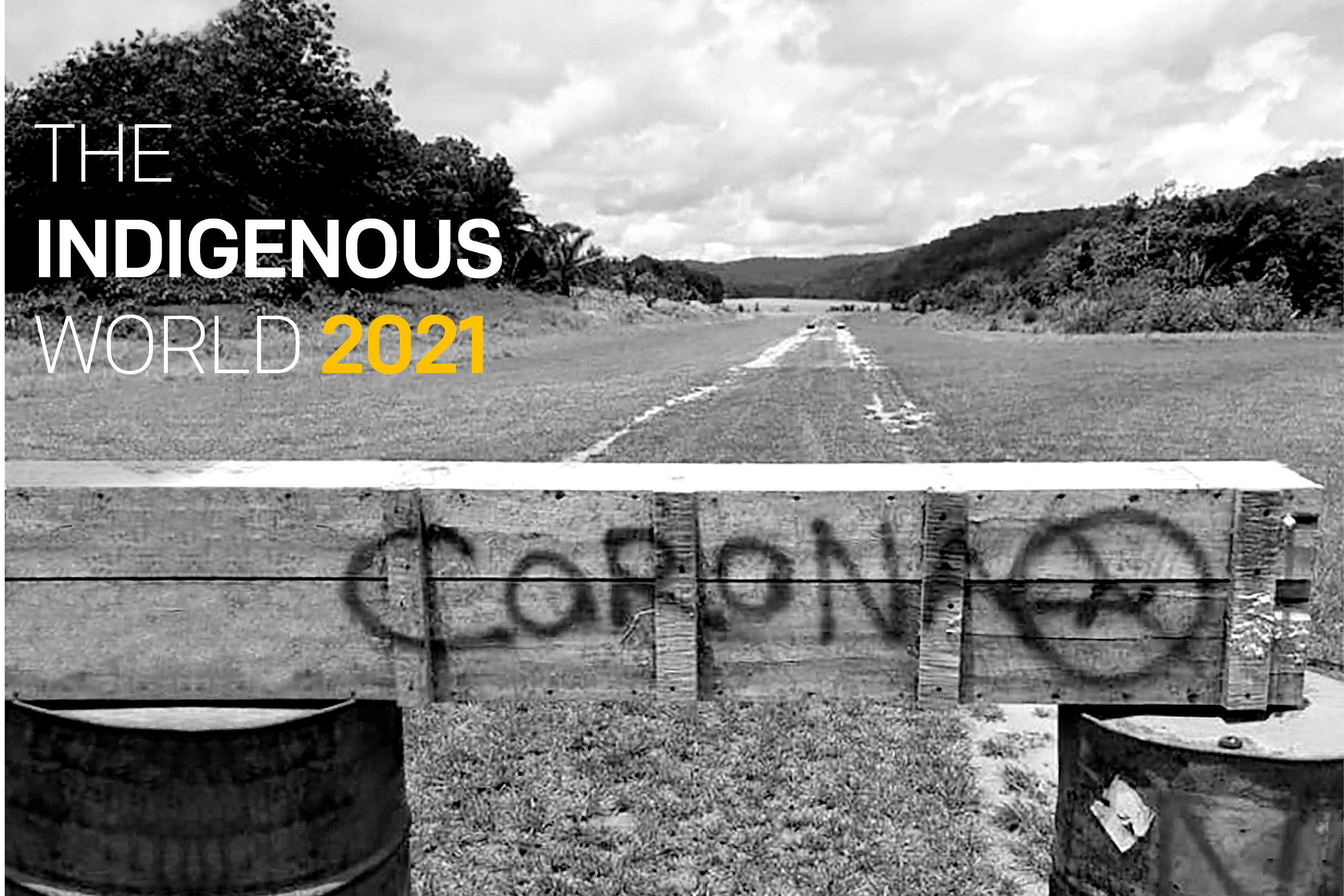The Indigenous World 2021