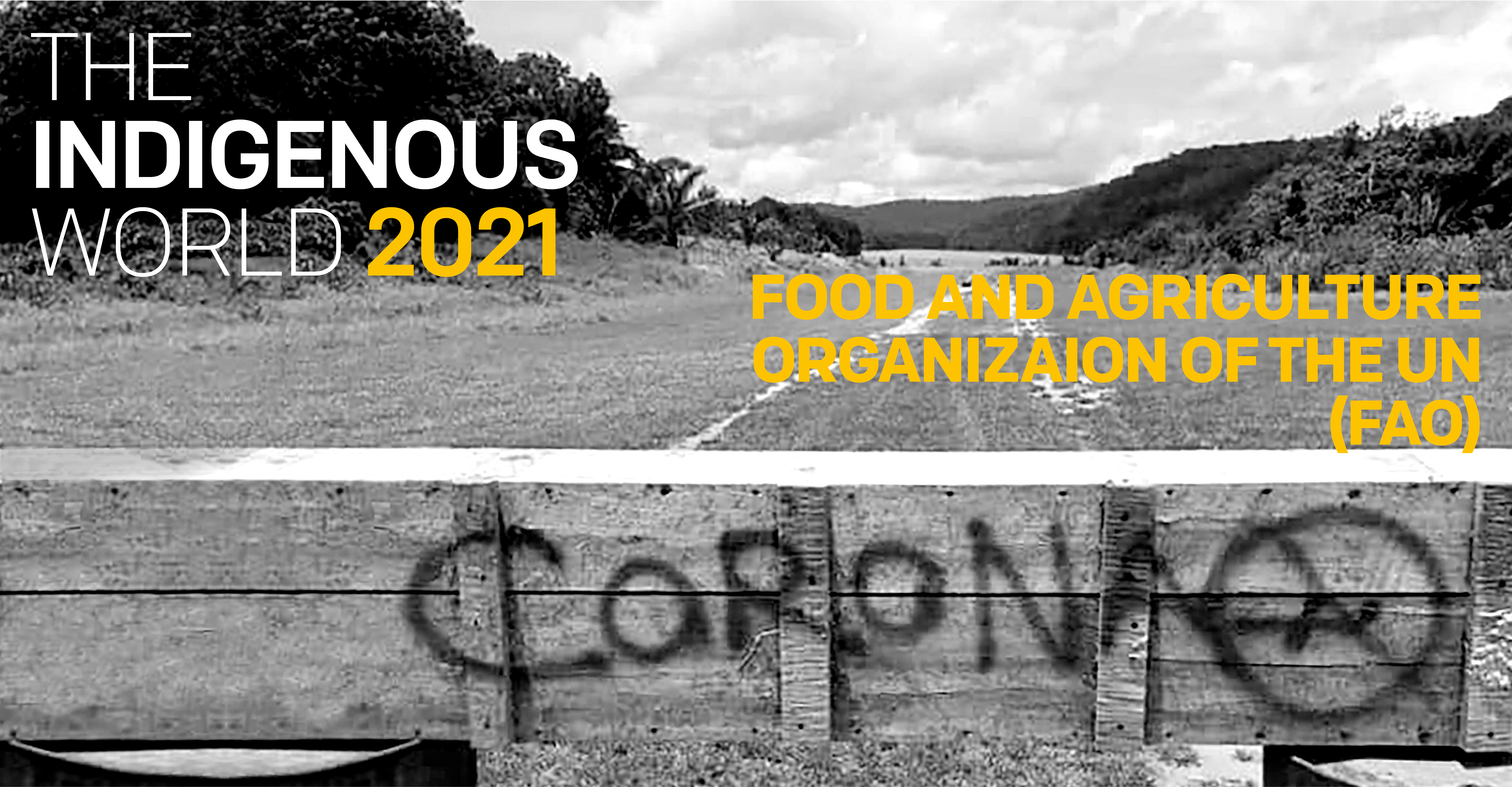 Food and Agricultural Organization of the United Nations (FAO) and Indigenous Peoples