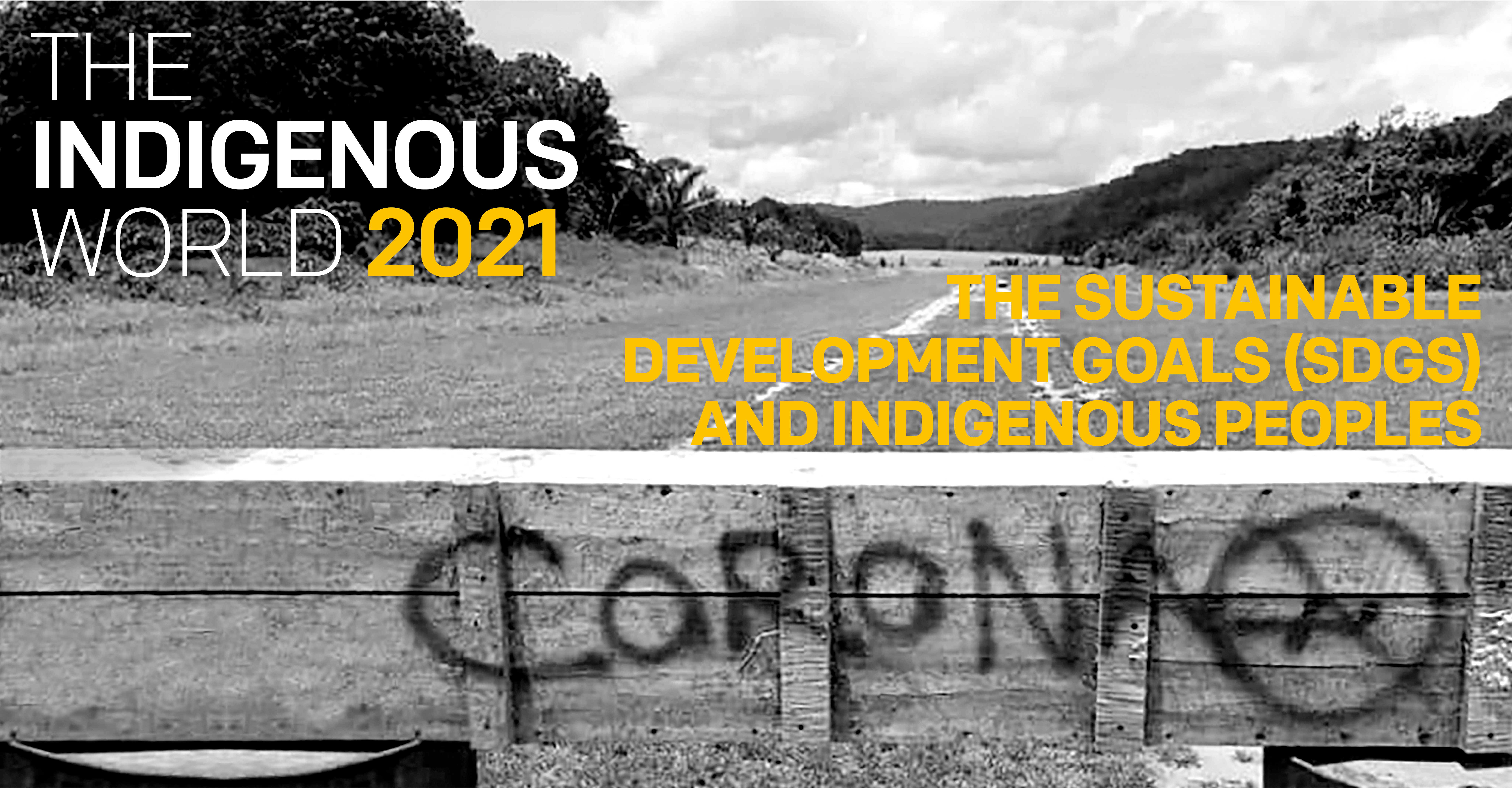 The Sustainable Development Goals (SDGs) and Indigenous Peoples