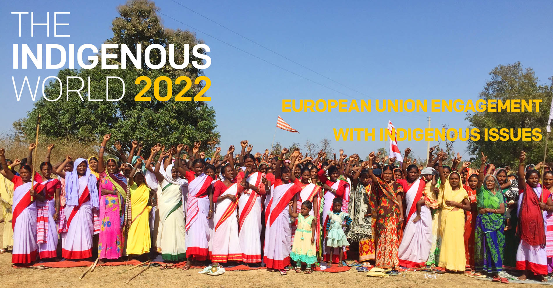 European Union Engagement with Indigenous Issues