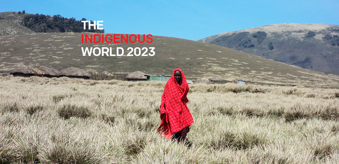 The Indigenous World 2023