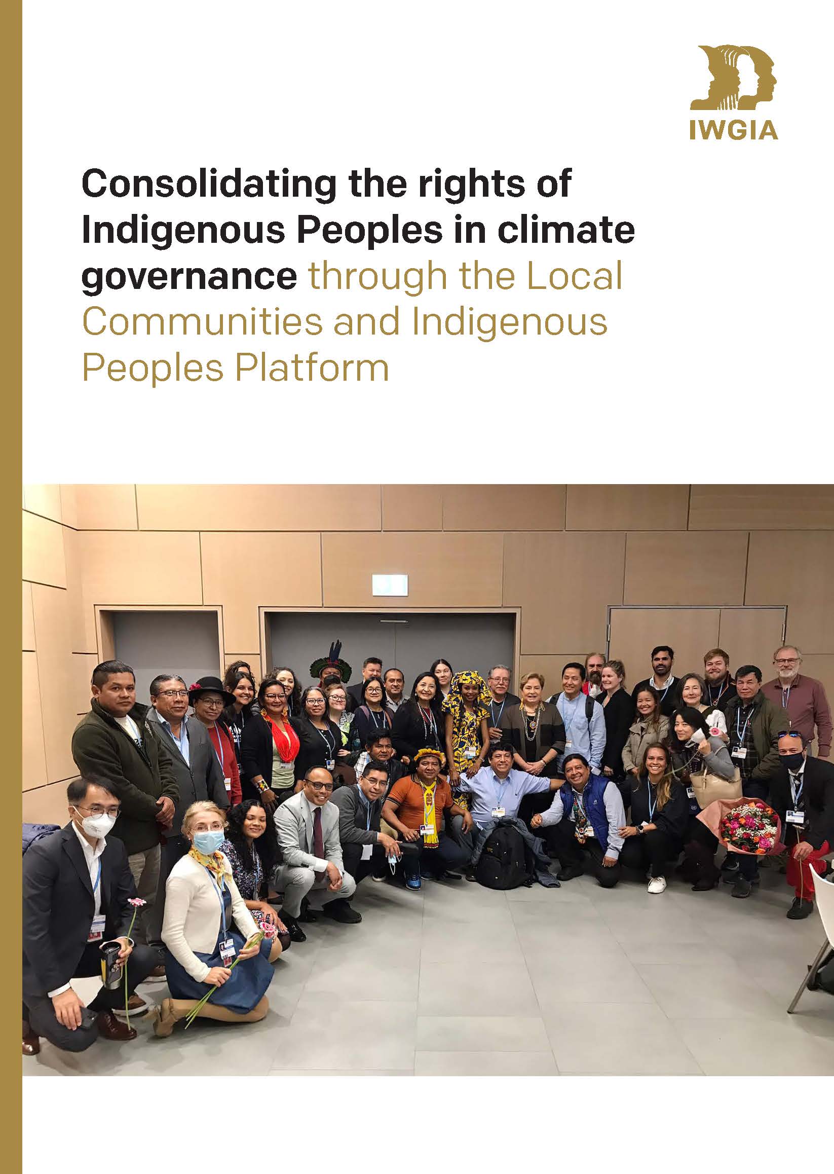 Consolidating the rights of Indigenous Peoples in climate governance through the Local Communities and Indigenous Peoples Platform