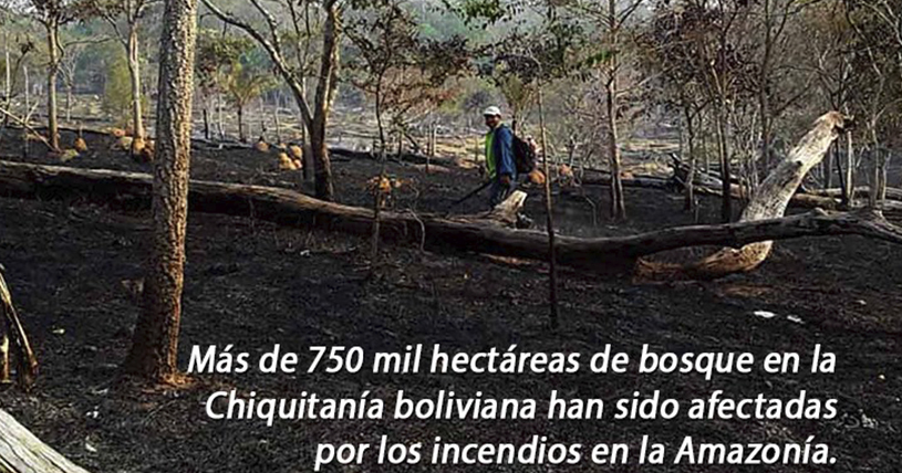 Bolivia: los incendios en la Chiquitanía y sus causas