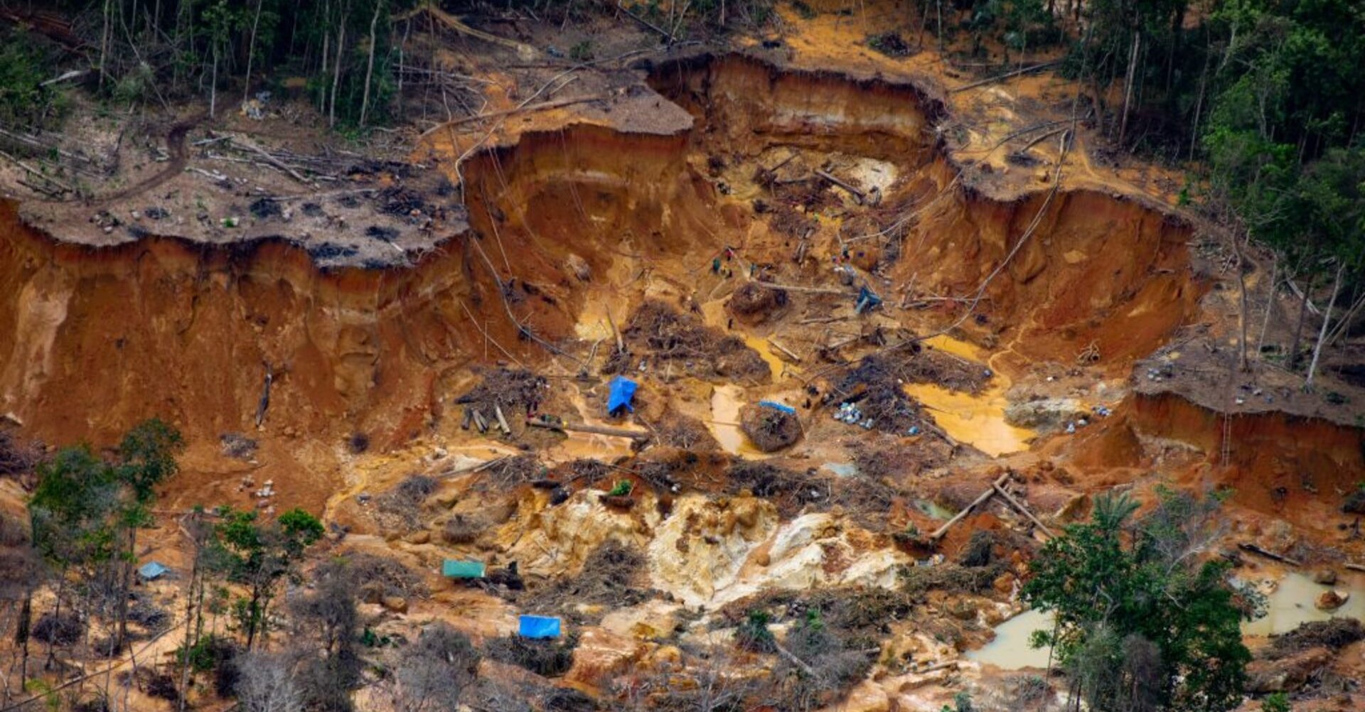 Gold and Cocaine: A Toxic Alliance Threatening the Amazon and Its Peoples