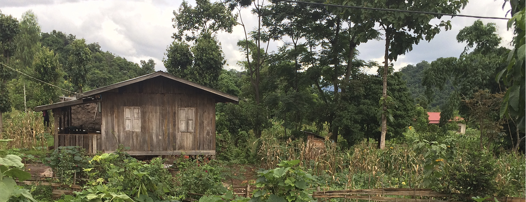 New land law threatens millions of livelihoods in Myanmar Servindi Servicios de Comunicación