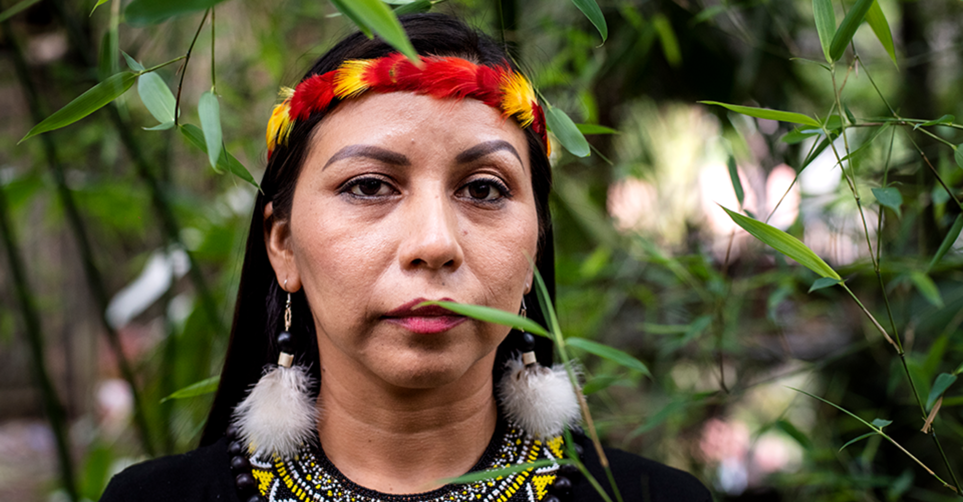 Nemo Andi: “Hemos dialogado con la verdad sobre todo lo que sucede en la Amazonía, la selva y la costa ecuatoriana”