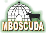 Mbororo Social and Cultural Development Association 