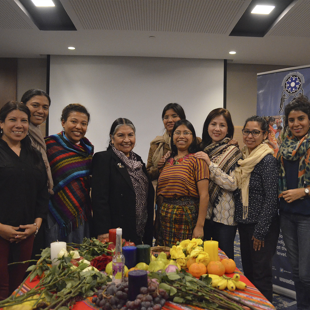 Foro Internacional de Mujeres Indígenas (FIMI)